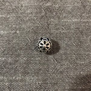 Authentic Pandora Charm